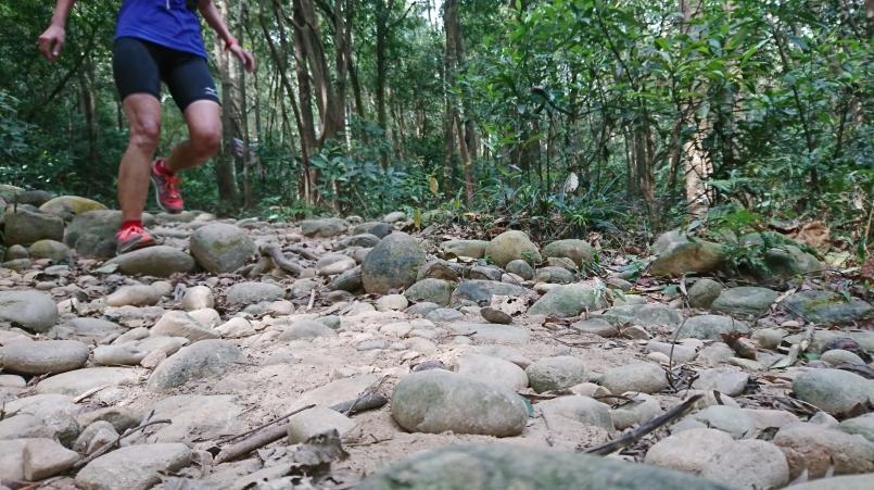萨洛蒙和泰尼卡越野跑鞋,泰尼卡越野跑鞋至尊全能比较