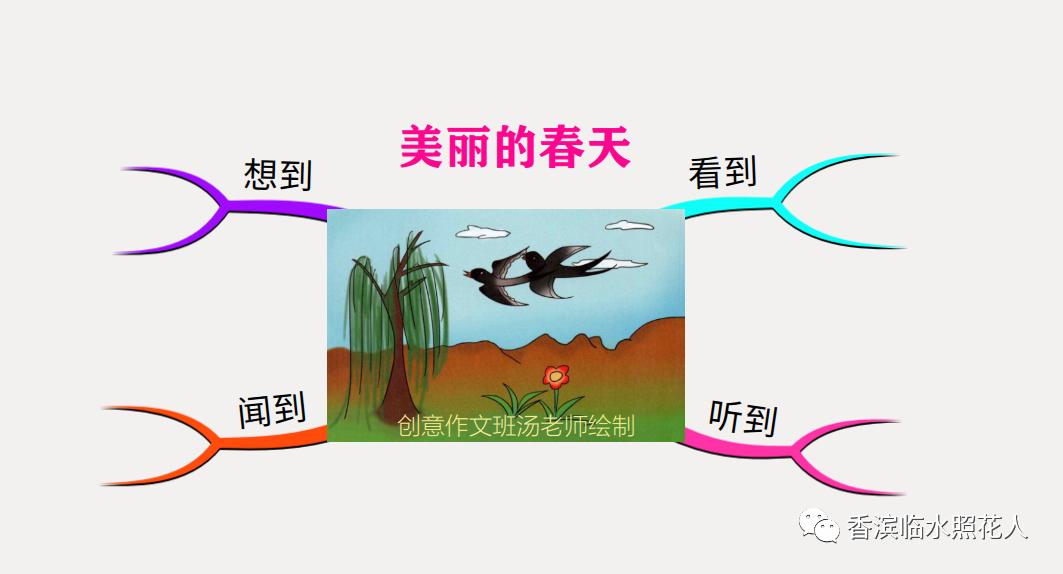 找春天思维导图简单漂亮画法,思维导图找春天二年级下册怎么画