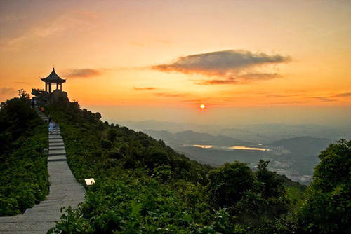 深圳鹏城花园,深圳市鹏城国际小区