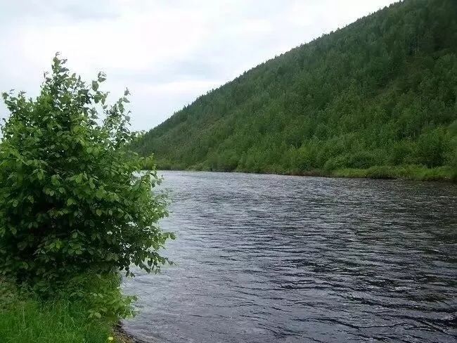 解读谜一样的大兴安岭，触手可及却又掩着神秘的面纱不肯轻易示人