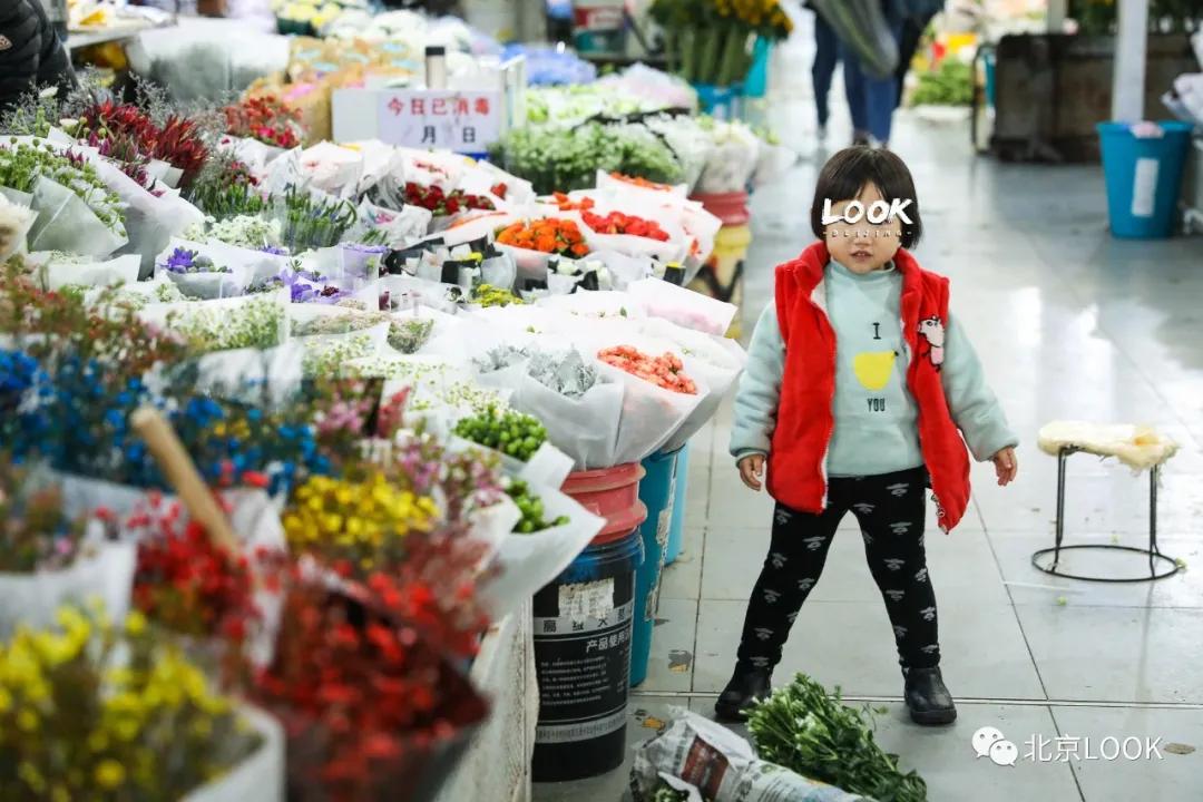 最便宜的北京花市,北京超好逛的花市
