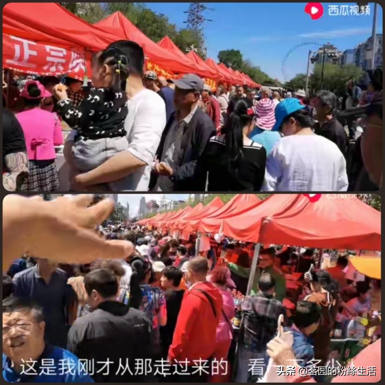 哈尔滨极乐寺庙会门票,哈尔滨极乐寺端午