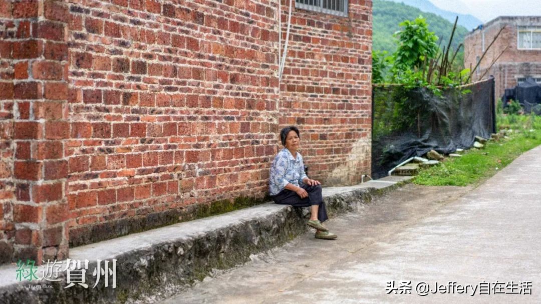 拍贺州｜莲塘镇大山深处的“一号基地”