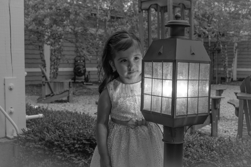 雁字回时月满西楼古诗,雁字回时月满西楼诗词