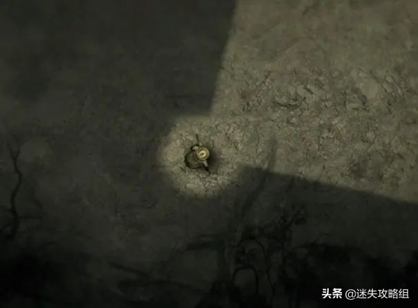 阴暗森林游戏的背景,阴暗森林游戏解析