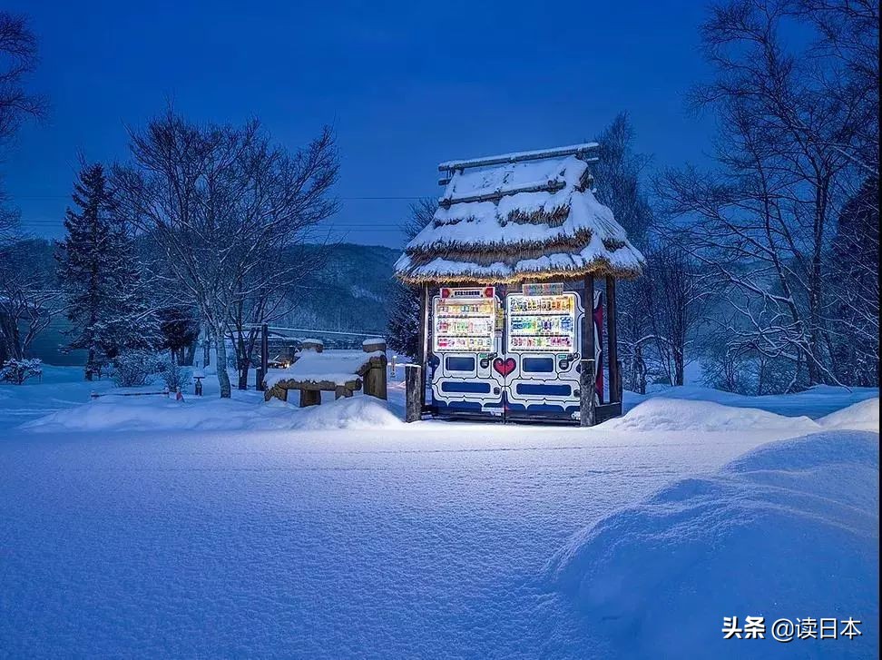 即使被全世界抛弃也要活下去,即使被全世界抛弃至少还有你英文