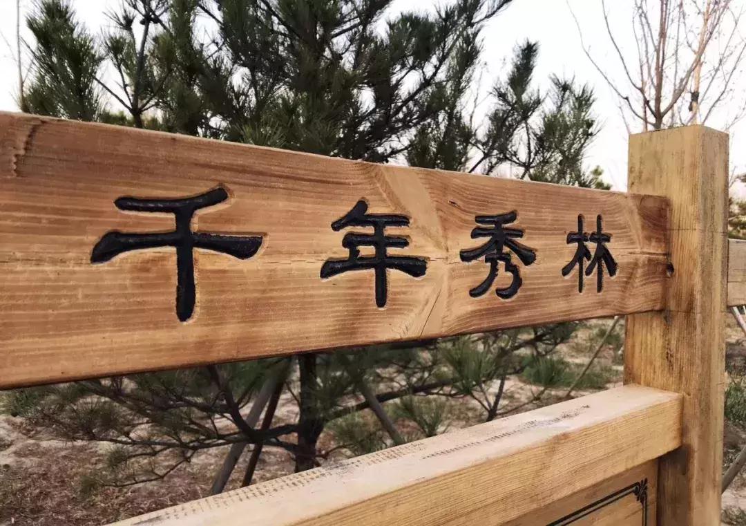 雄安必玩,雄安可以去的地方