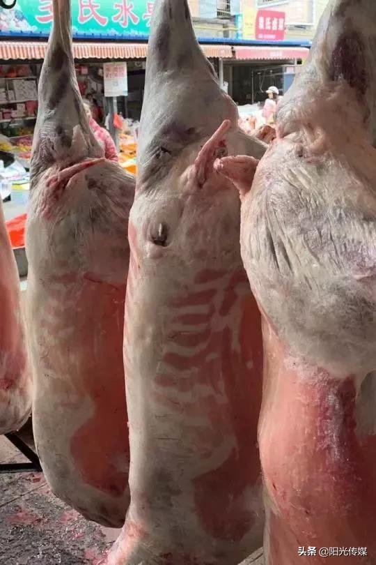 冬至还没到羊肉已走俏,冬至羊肉降价