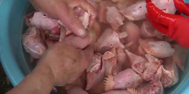 美女辞掉月薪4000的工作卖小吃,美女辞掉月薪4千工作卖小吃