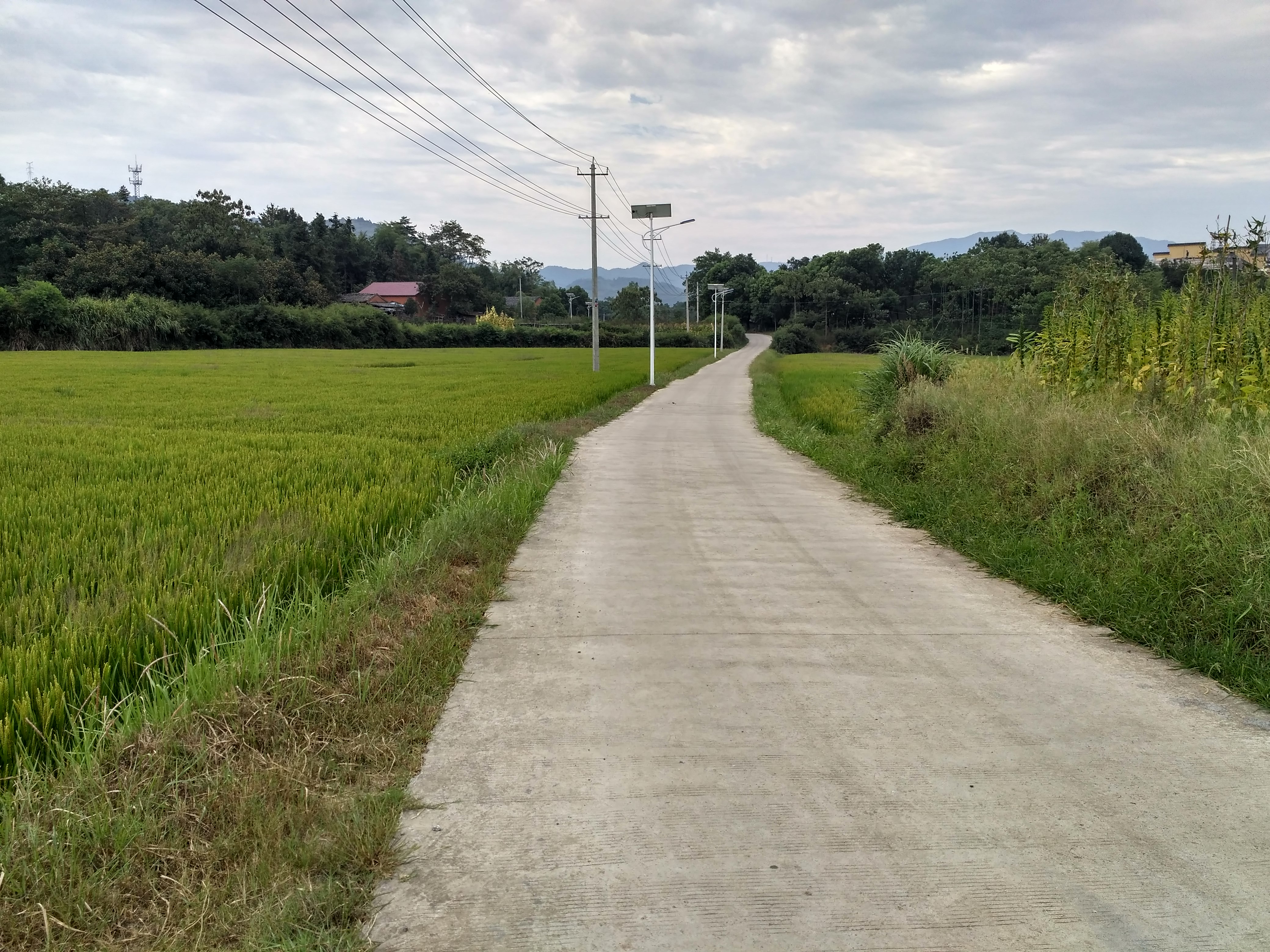 铜陵市义安区天门镇龙云村,安徽铜陵龙云村