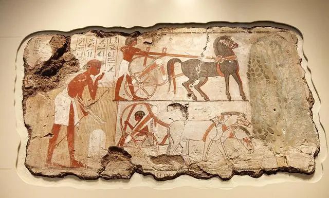 创意壁画艺术图片,壁画墙绘艺术