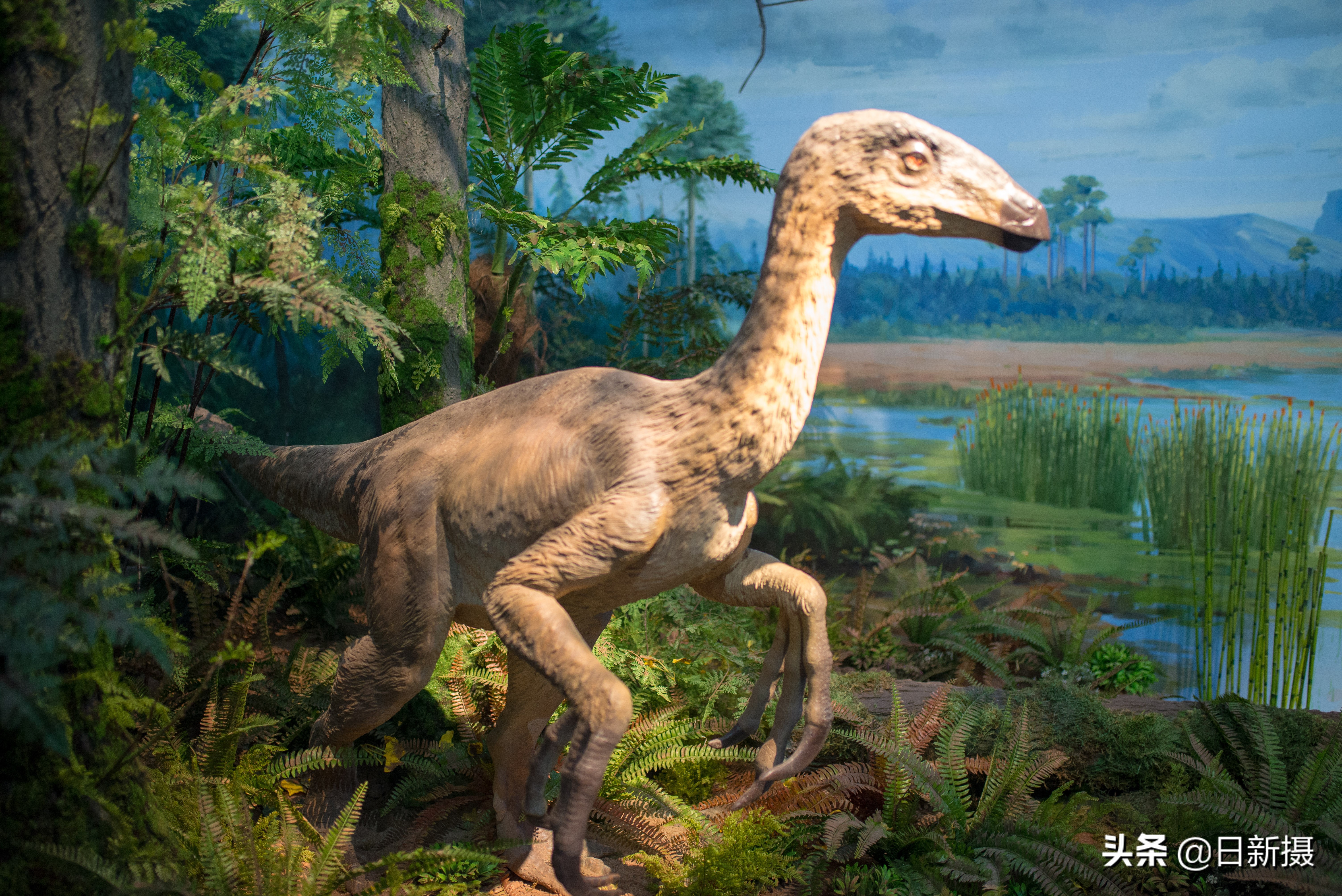 国家海洋博物馆之行,国家海洋博物馆蓝色海洋体验馆