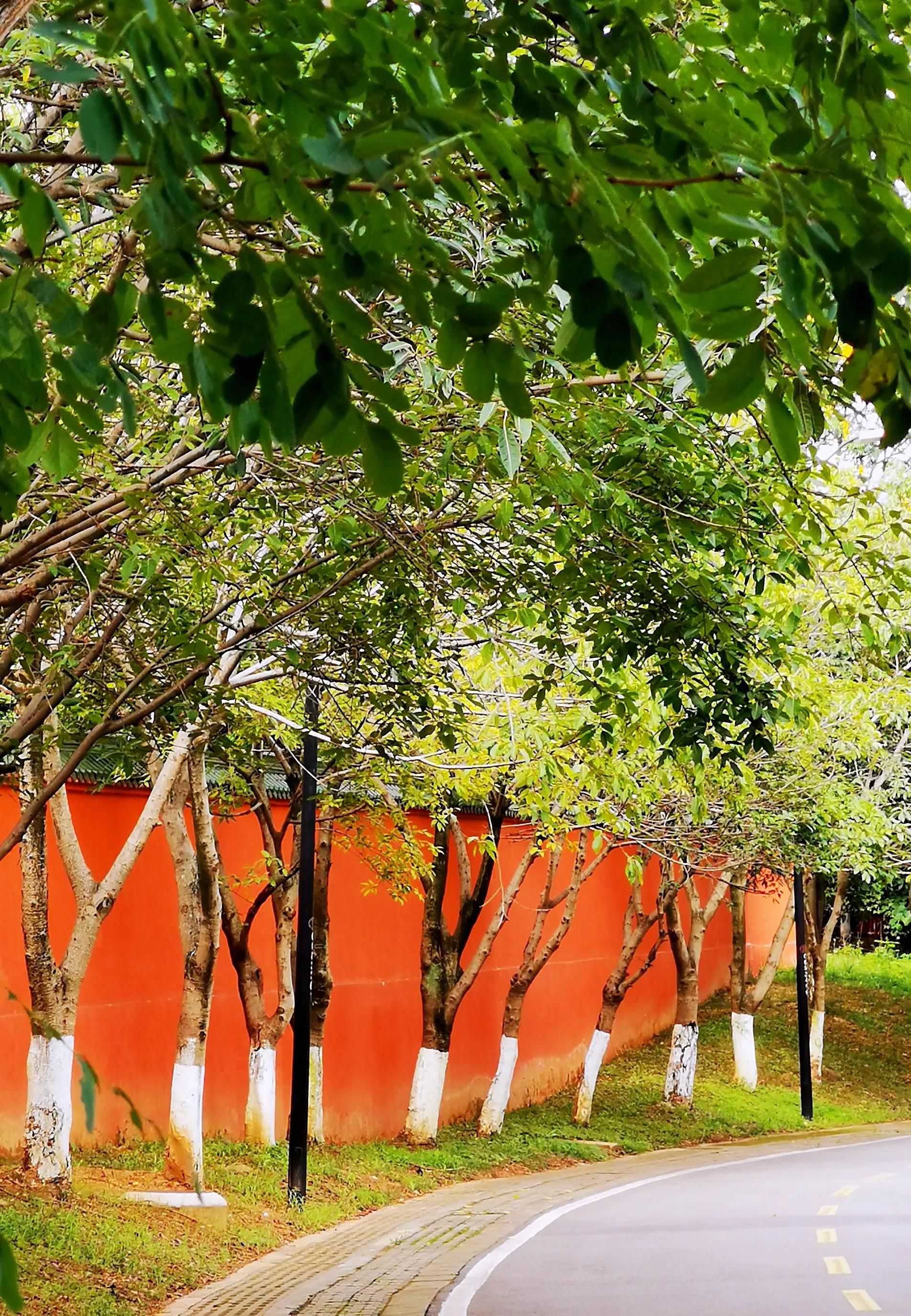 老成都的记忆：城北凤凰山