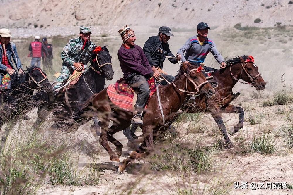 铁血雄鹰全剧,铁血雄鹰全文阅读