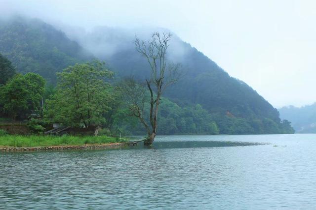 丰仪才子晚归致——清代平乐第一位进士袁景星传奇（6）
