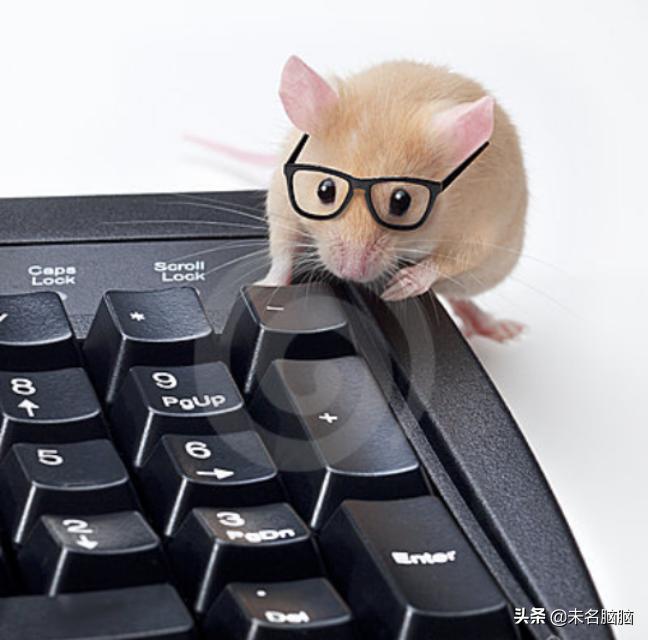 哈佛科学家让神经细胞“重返年轻”：老人的青光眼有救了