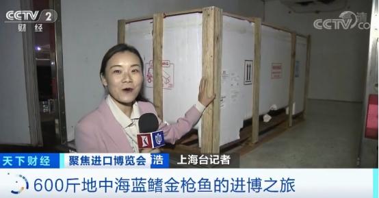 顶级蓝鳍金枪鱼美食,进博探营美食攻略