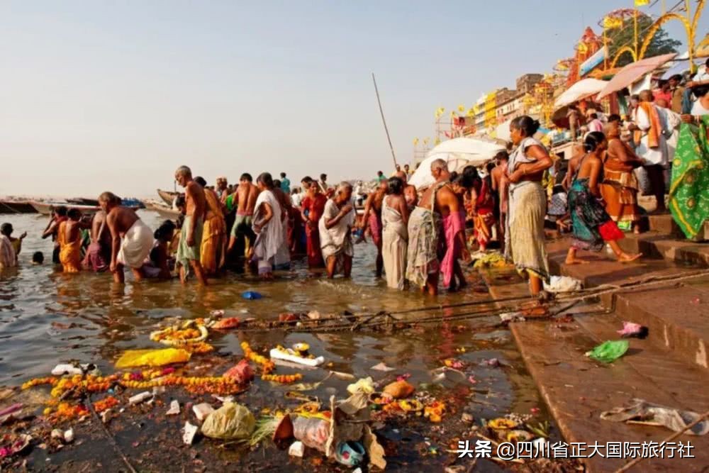 世界行为迷惑大赏,世界迷惑行为大赏解说