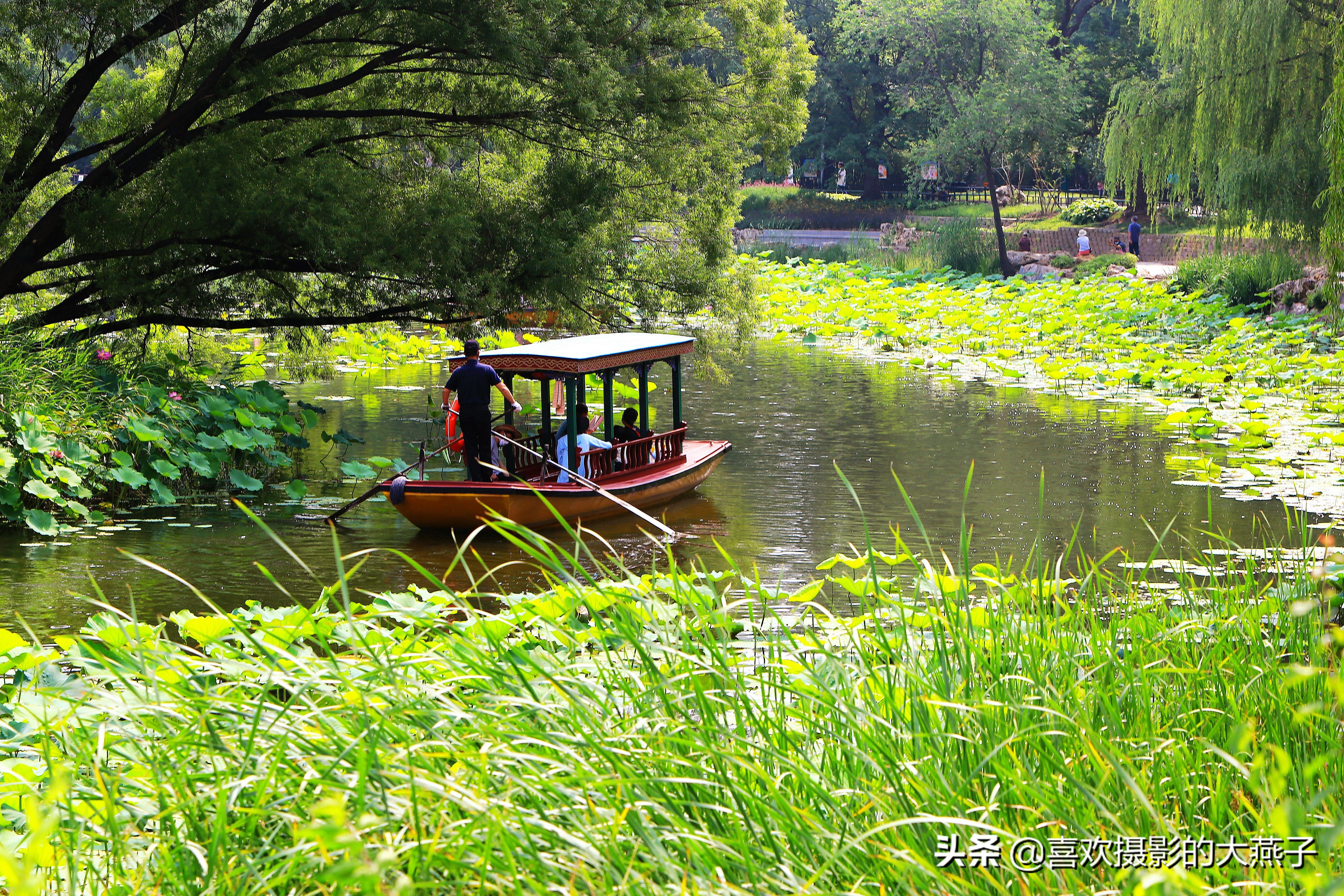 紫竹院京城景区,京城皇家御河紫竹院