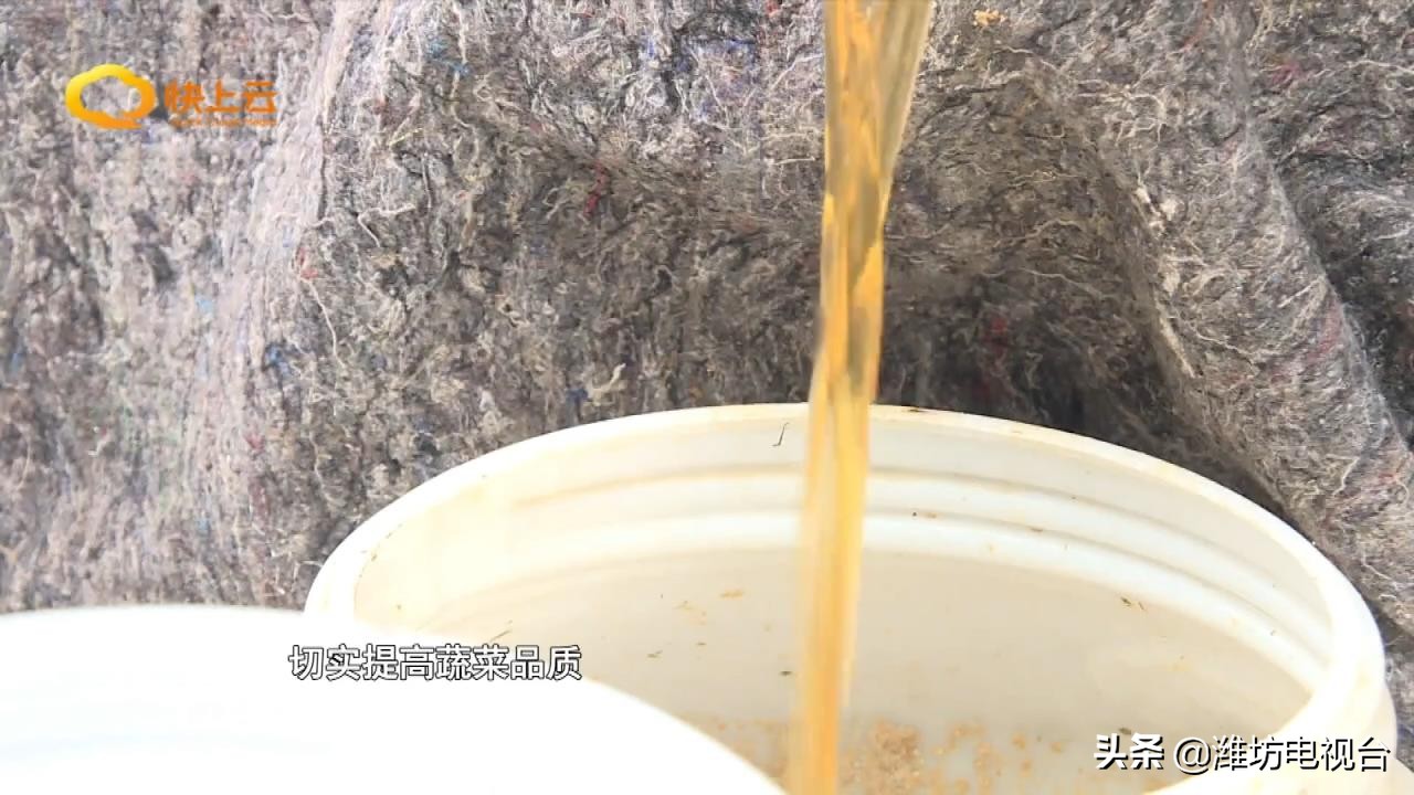 自制酵素真的这么神奇吗,环保酵素怎么改良土壤