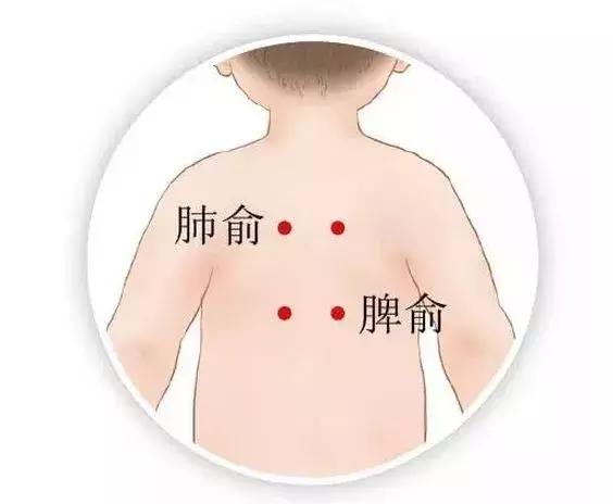 老师的孩子老是反复咳嗽怎么办,曲黎敏老师讲的治咳嗽的方法