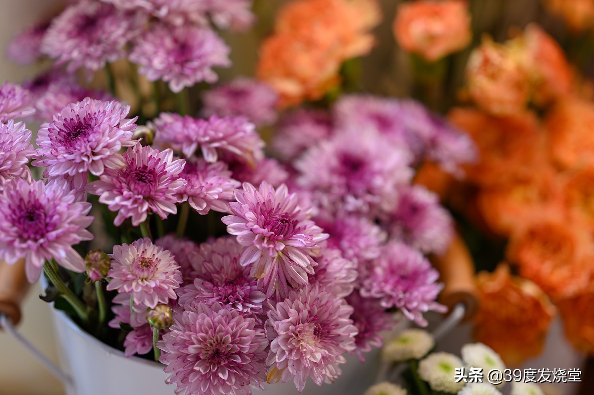 这5000元真值了！尼康Z85mmf/1.8轻量化人像镜头评测