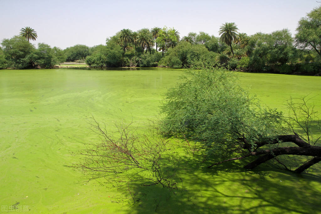 迪奥背后的文化,迪奥大品牌背后的故事