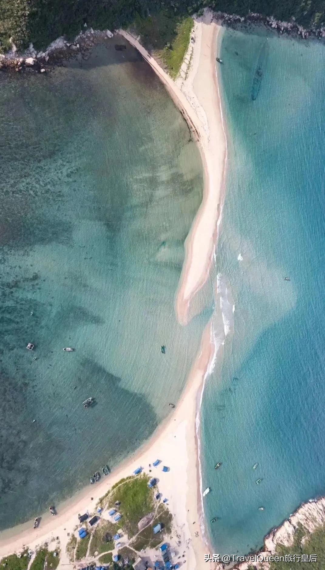 动物森友会无人岛一天可以去几次,动物森友会所有虫类图鉴