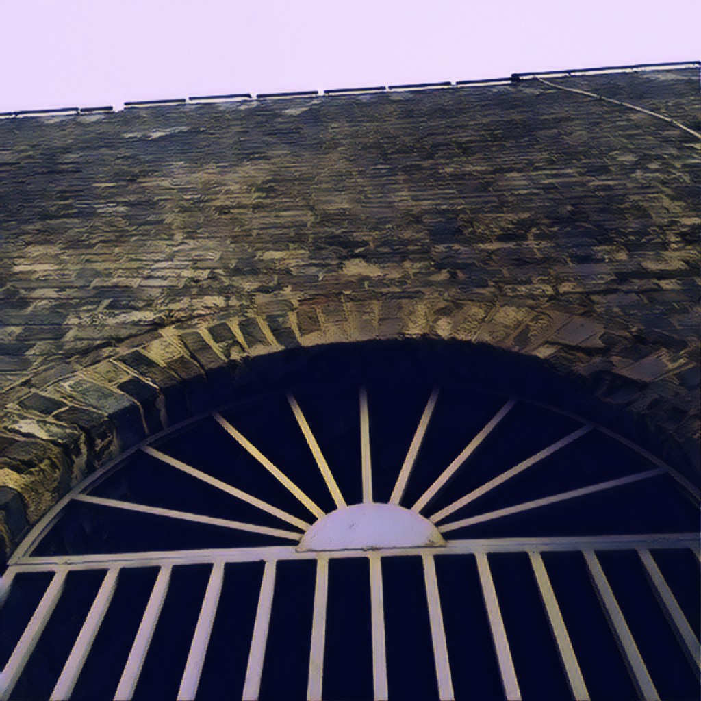 挽沙扬蜂读《牛虻》14上