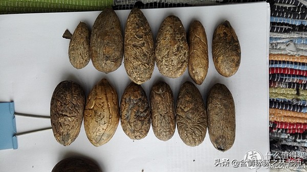 去哪里可以自己做菩提,做千眼菩提