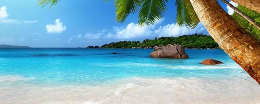 椰树牌椰汁有营养吗,椰树牌椰汁真假鉴别