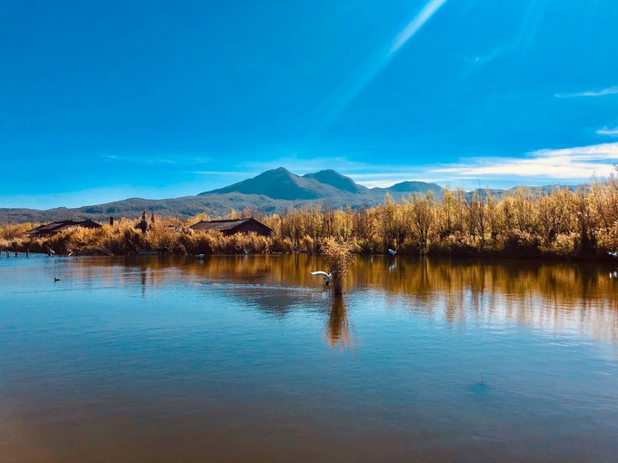 丽江打卡的九个地方,丽江拉市海网红打卡攻略