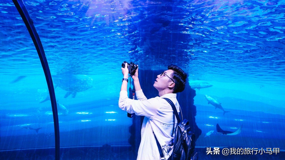 迪拜旅游攻略必去的地方,迪拜游玩全攻略