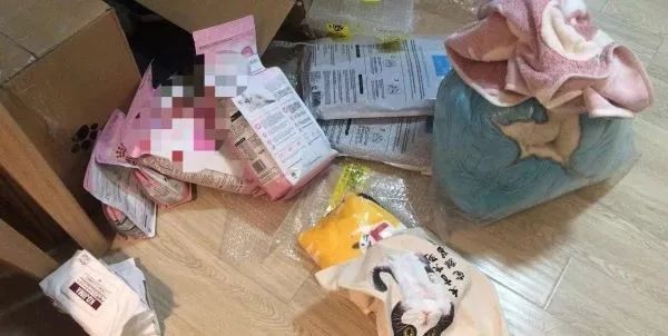 新手铲屎官怎么养猫,新手铲屎官养猫知识