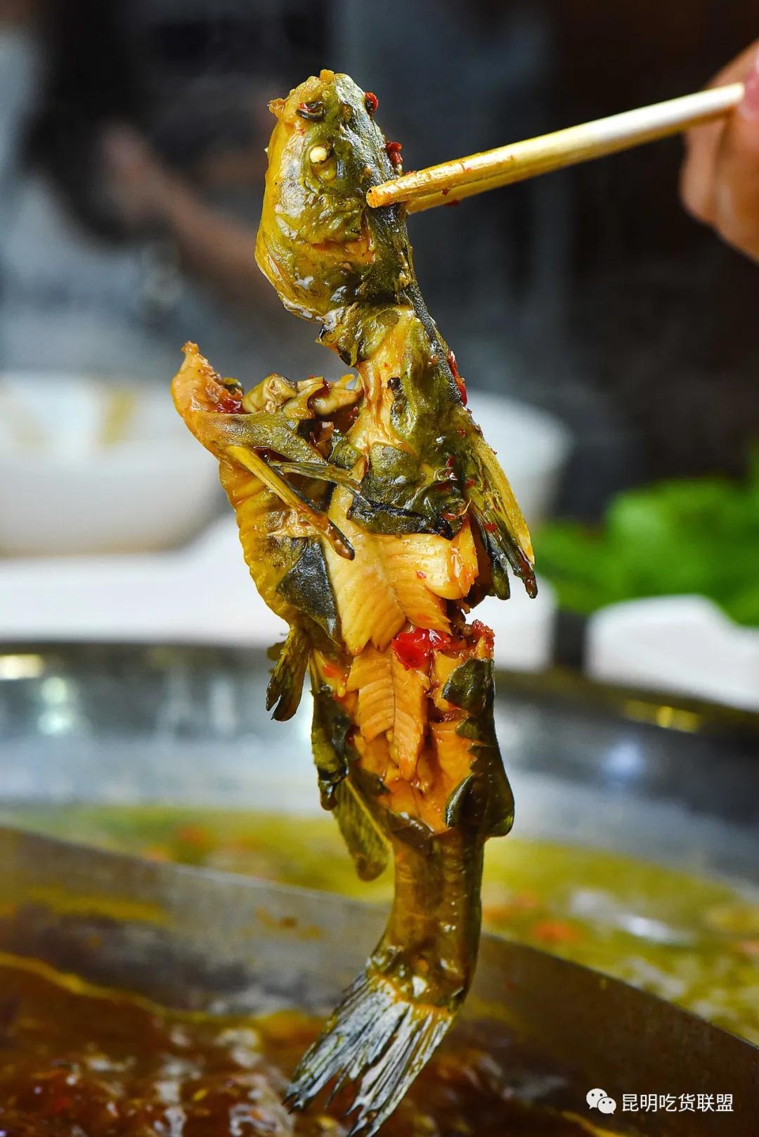 自助涮羊肉火锅昆明,昆明涮羊肉自助美食