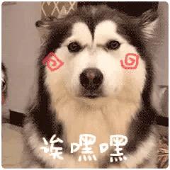 今日表情包第三弹图片,今日表情包收藏