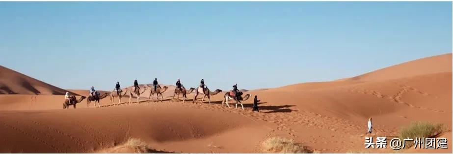 沙盘推演沙漠掘金,广州领导力培训班哪个好