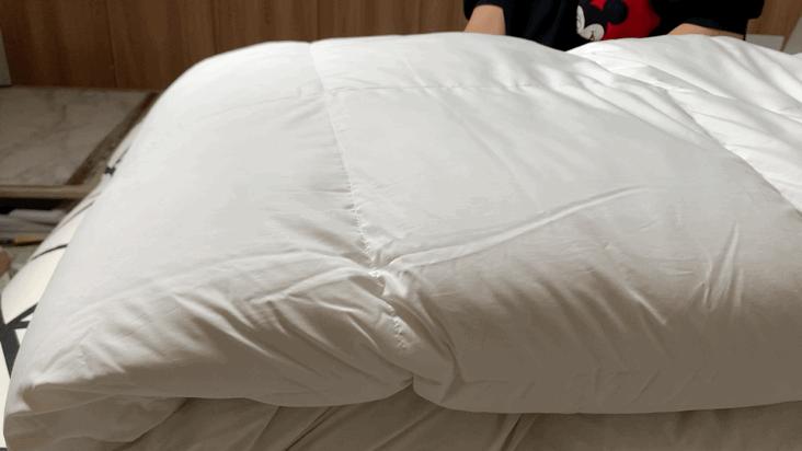 鹅绒被95%白鹅绒价格,网易严选95%白鹅绒冬被