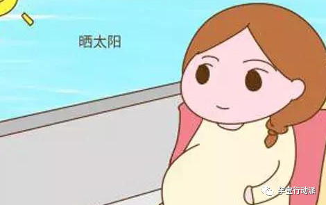 孕期周刊,孕期周刊25周