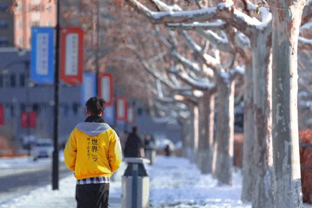 辽宁大连民办大学,大连辽宁二本大学