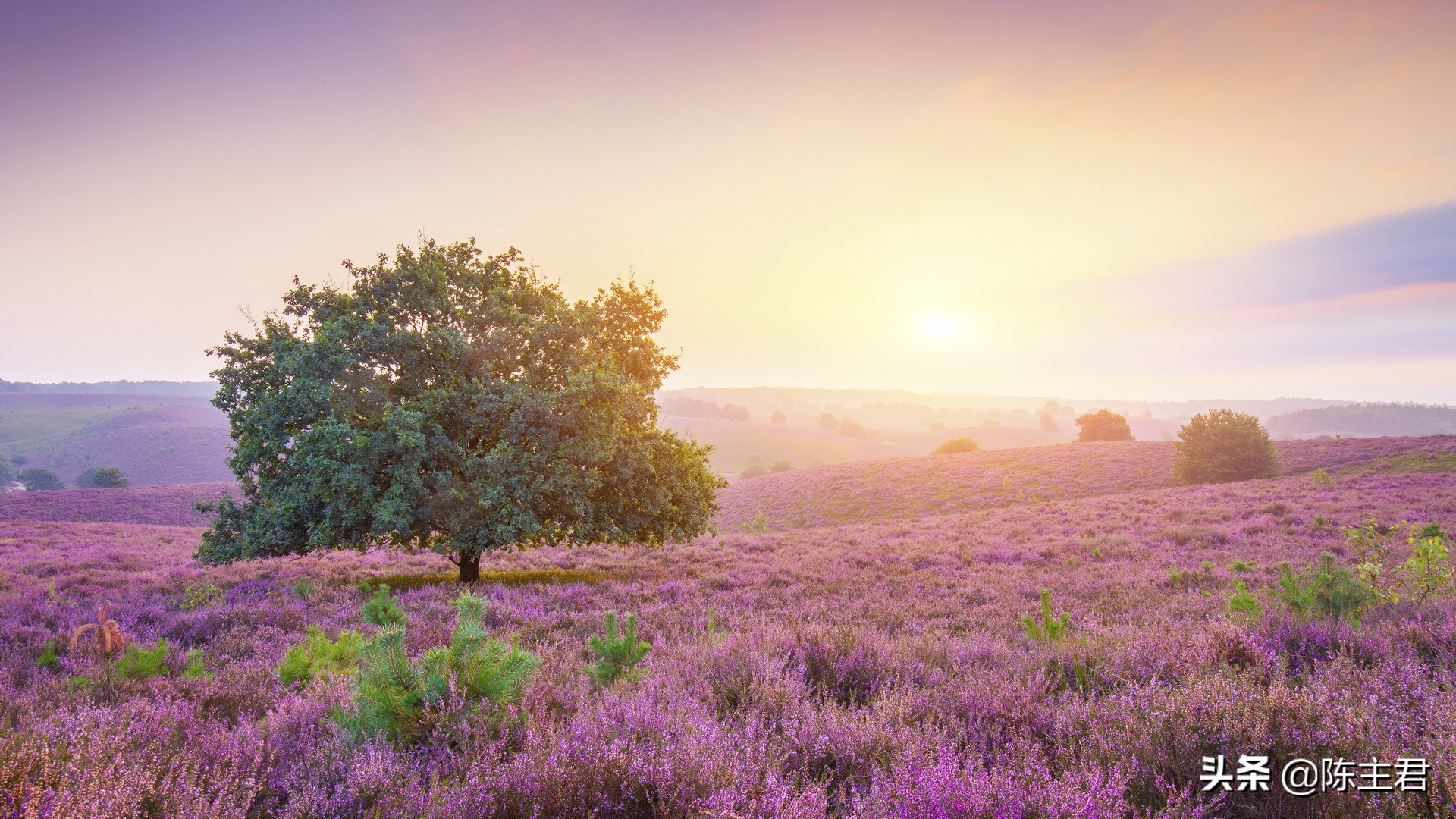 超美的风景壁纸,世界顶级绝美风景手机壁纸
