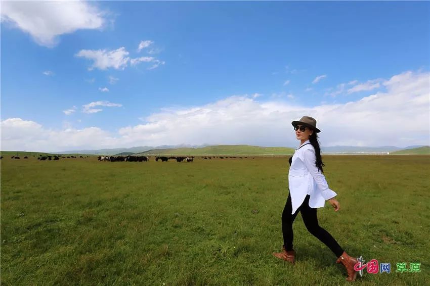 大梅看草原丨盛夏的甘南玛曲，美得脱俗惊艳