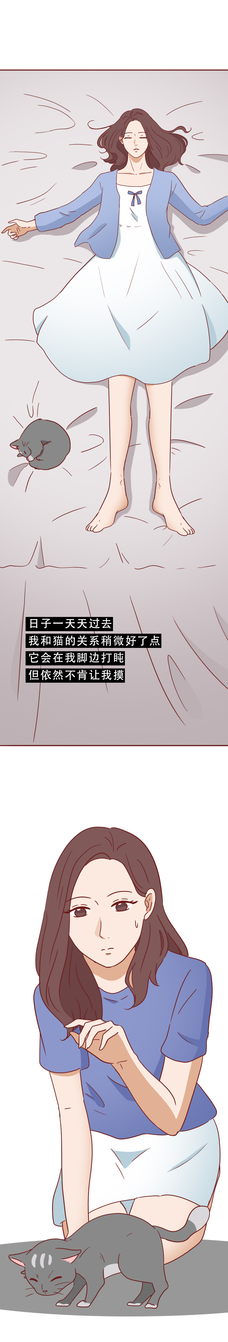 捡了一只猫好像抑郁了怎么办,一只抑郁症猫咪被救赎的故事