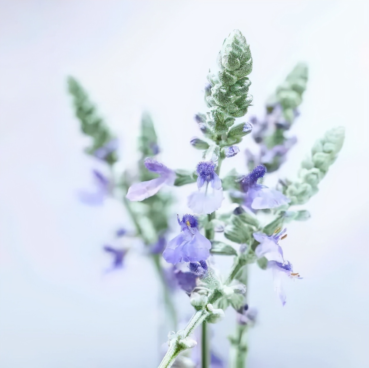 colourpop联名nba,colourpopnba联名眼影勇士