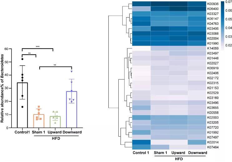 糖尿病患者可以依靠锻炼降糖吗,糖尿病引体向上降血糖