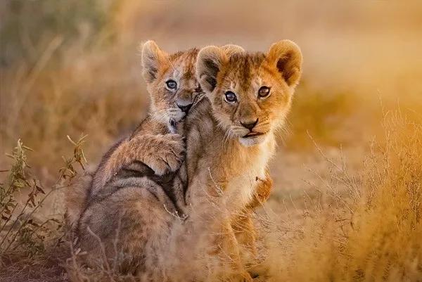 去国外旅游过安检被偷视频,出国旅游过海关被扣是什么原因