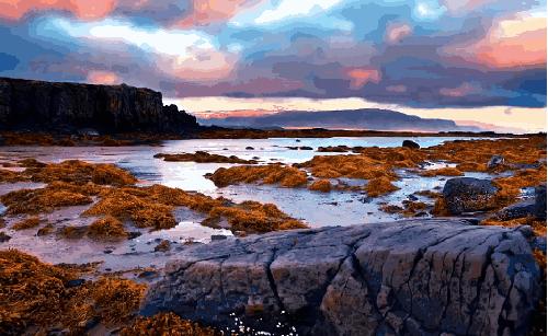 野生养娃、魔幻修路、吃的东西酸爽过头，冰岛这个国家真的好玄幻