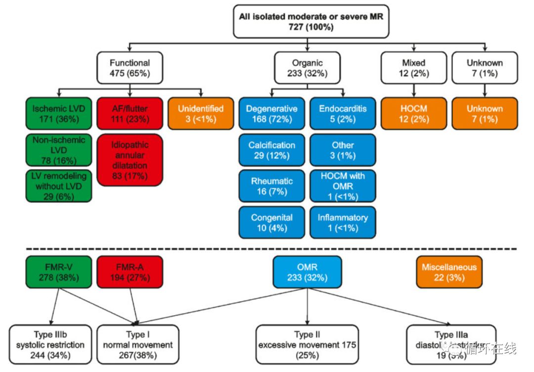 「彤心飞传」功能性较器质性二尖瓣关闭不全预后更差？