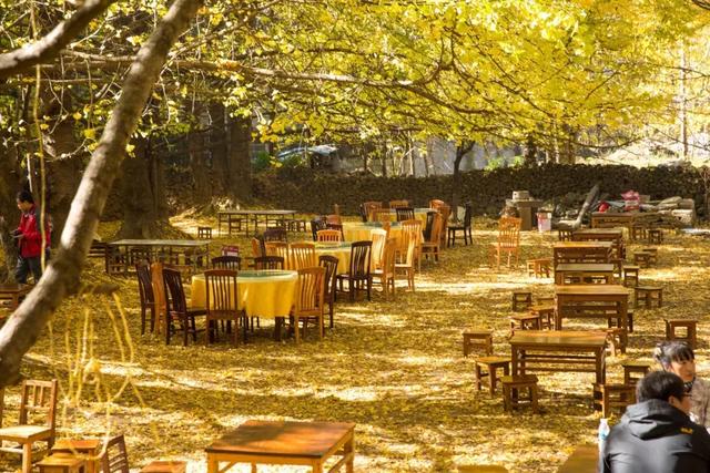 适合以后去旅游的好地方,适合下个月旅游的地方