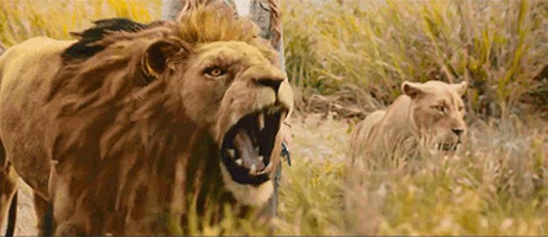 年轻的成龙有多能打,66岁的成龙还会武功吗